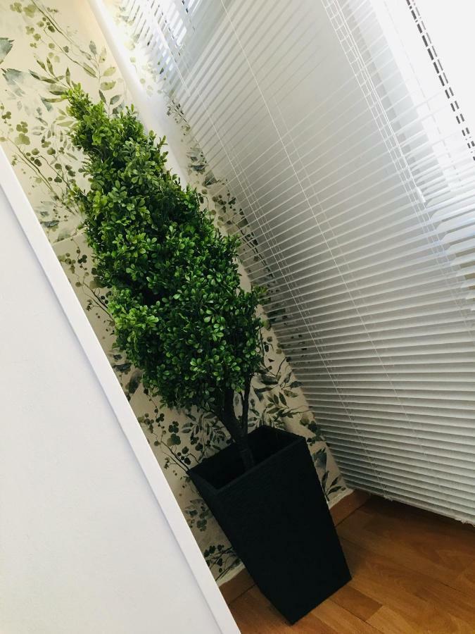 Apartamento Good Vibes Apartment Сарагоса Екстериор снимка